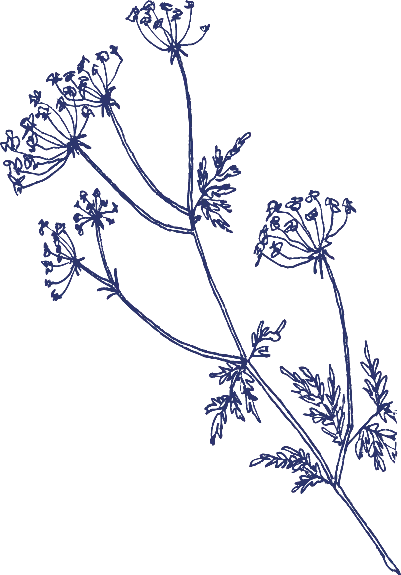 Footer FLower