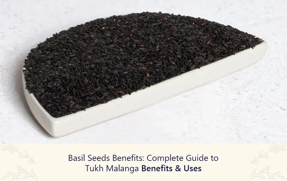 Basil Seeds Benefits: Complete Guide to Tukh Malanga Benefits & Uses
