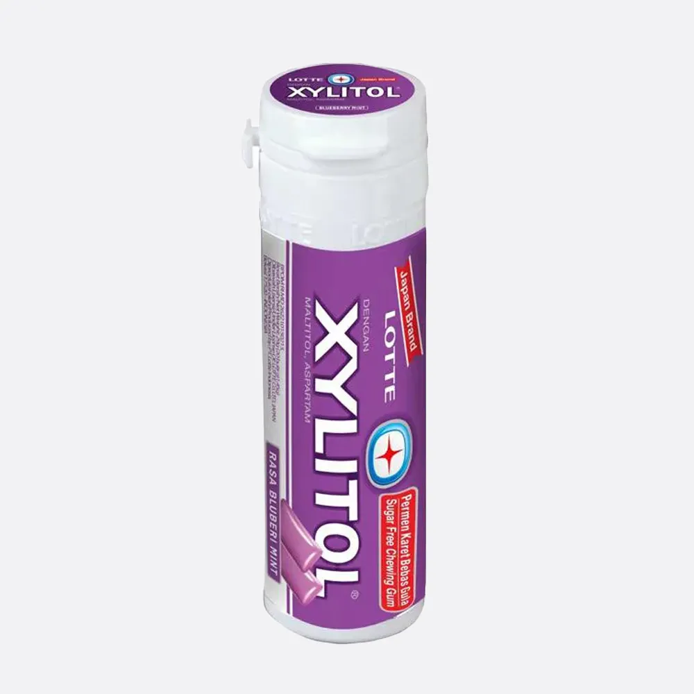 Xylitol Blueberry Mint Chewing Gum